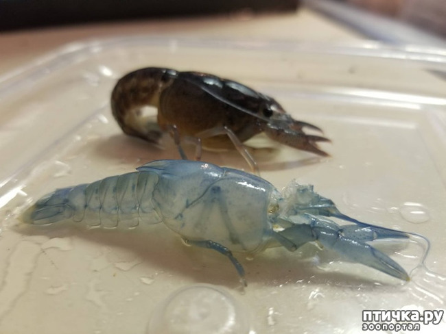 ���� 3: ����� �� ������ ���� �������.