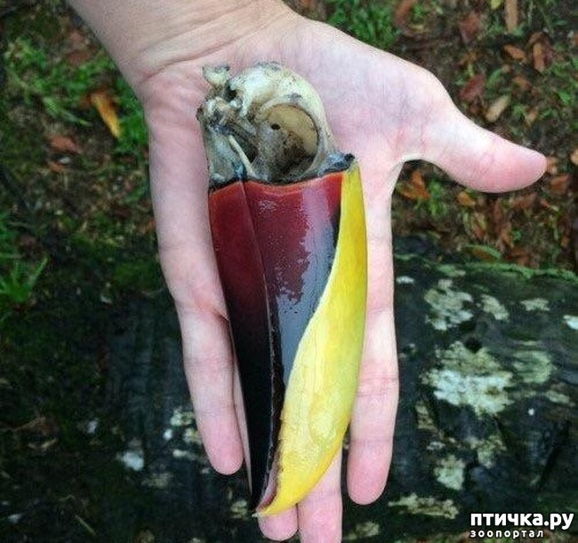 ���� 6: ����� �� ������ ���� �������.