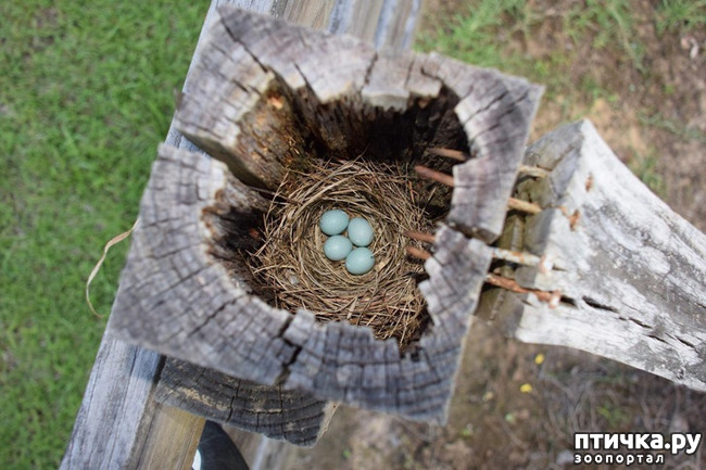 ���� 9: ����� �� ������ ���� �������.