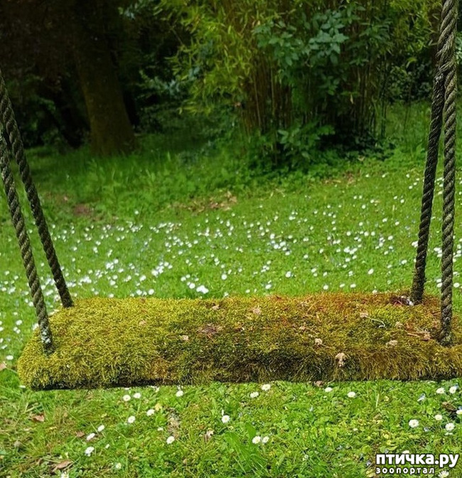 ���� 11: ����� �� ������ ���� �������.