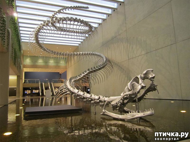 ���� 12: ����� �� ������ ���� �������.