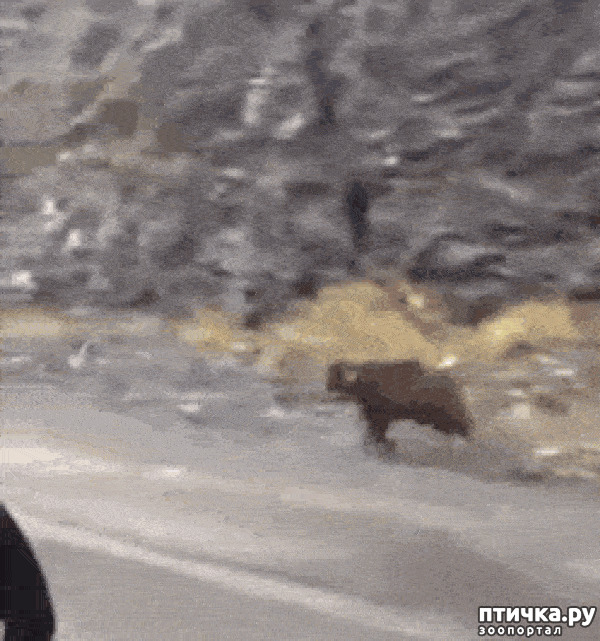 ���� 14: ����� �� ������ ���� �������.