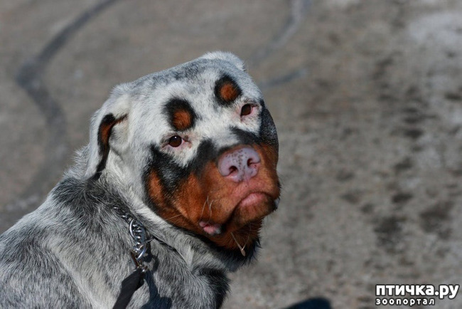 ���� 15: ����� �� ������ ���� �������.