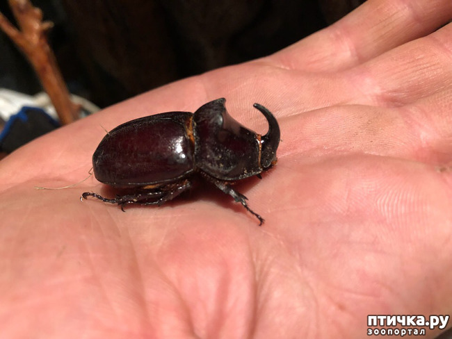 ���� 20: ����� �� ������ ���� �������.