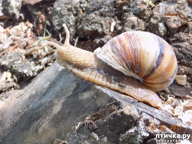 ���� 17: ����� �� ������ ���� �������.