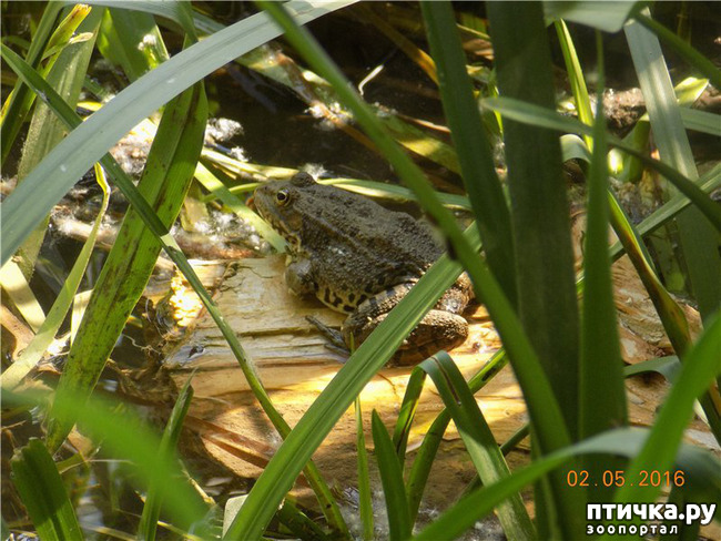 ���� 21: ����� �� ������ ���� �������.