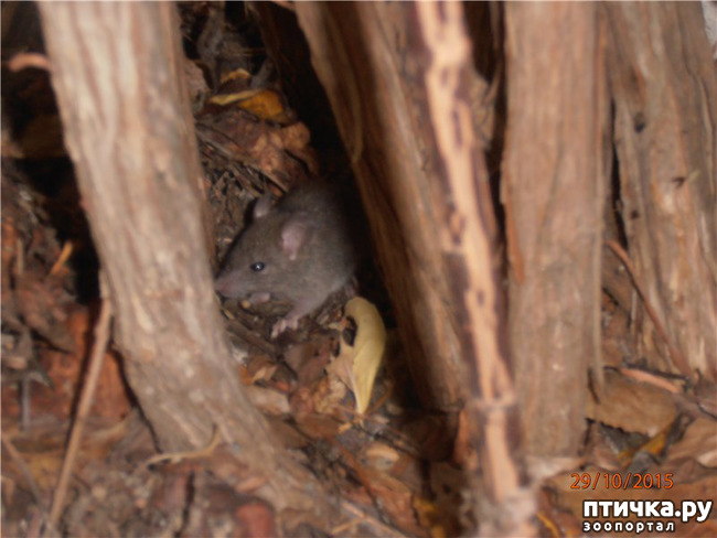 ���� 22: ����� �� ������ ���� �������.