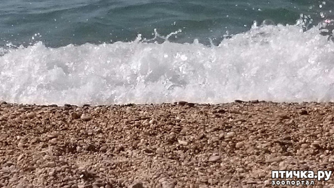 ���� 23: ����� �� ������ ���� �������.