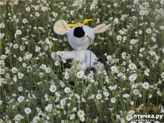 ���� 27: ����� �� ������ ���� �������.