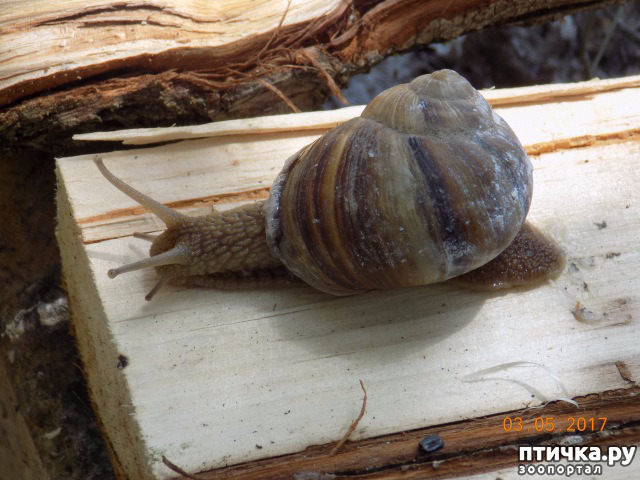 ���� 18: ����� �� ������ ���� �������.