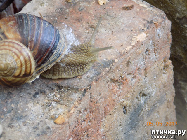 ���� 19: ����� �� ������ ���� �������.