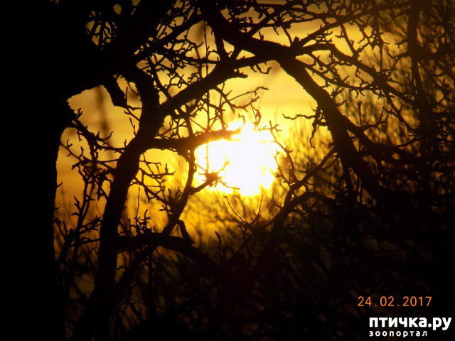 ���� 29: ����� �� ������ ���� �������.