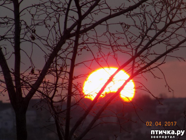 ���� 30: ����� �� ������ ���� �������.