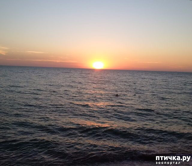 ���� 31: ����� �� ������ ���� �������.