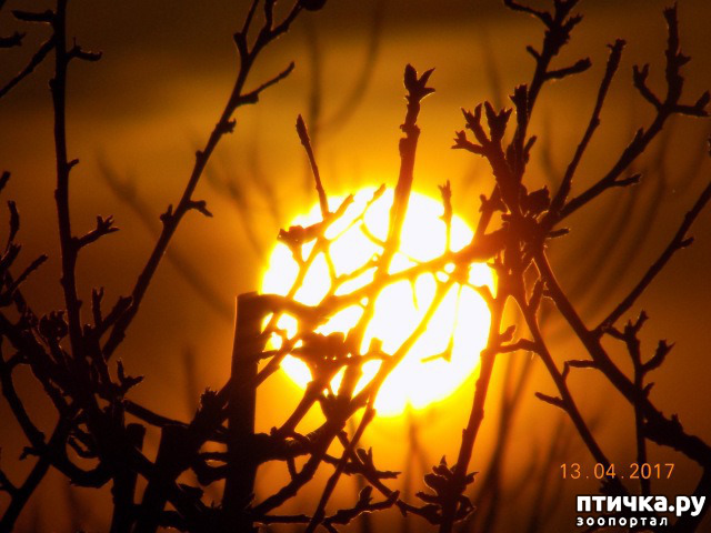 ���� 32: ����� �� ������ ���� �������.