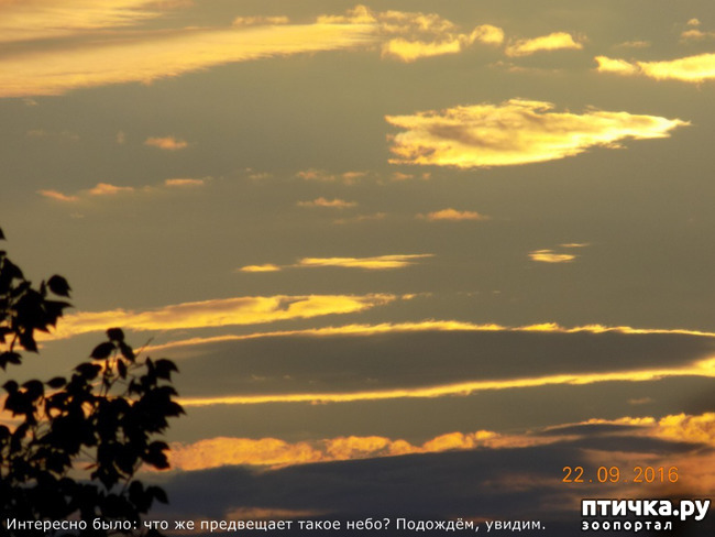 ���� 33: ����� �� ������ ���� �������.