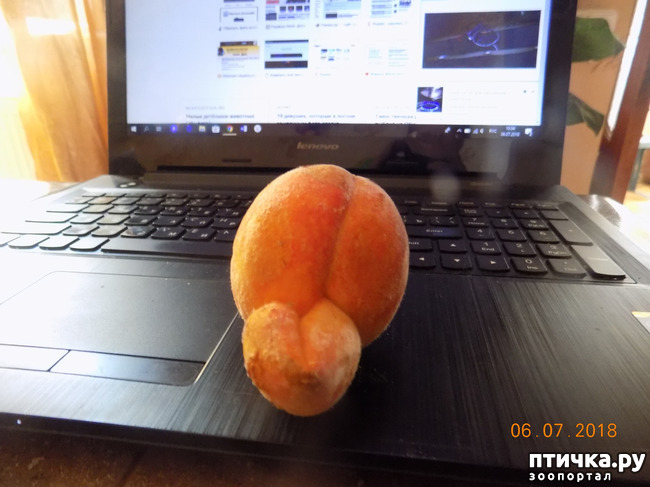 ���� 34: ����� �� ������ ���� �������.