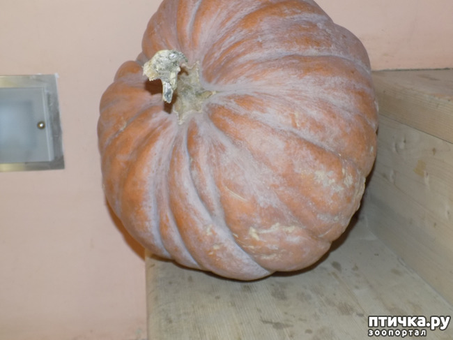 ���� 35: ����� �� ������ ���� �������.