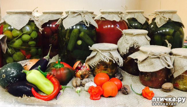 ���� 36: ����� �� ������ ���� �������.