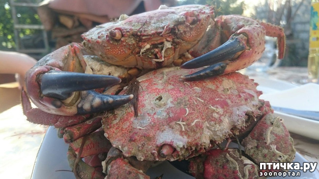 ���� 40: ����� �� ������ ���� �������.