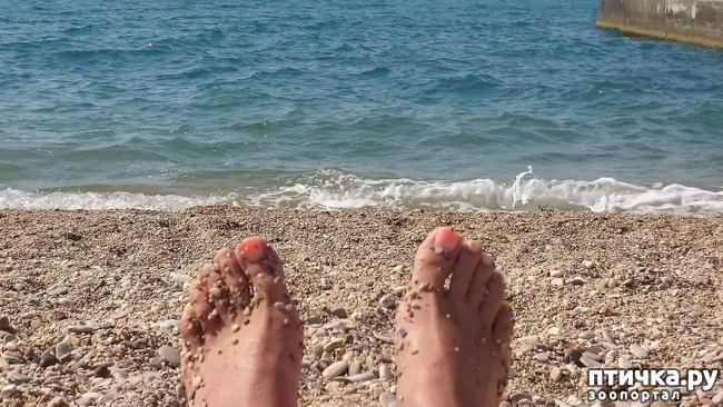 ���� 24: ����� �� ������ ���� �������.