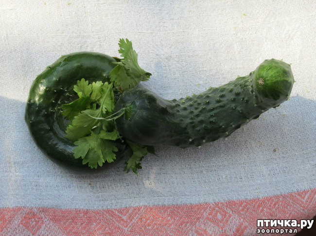 ���� 37: ����� �� ������ ���� �������.