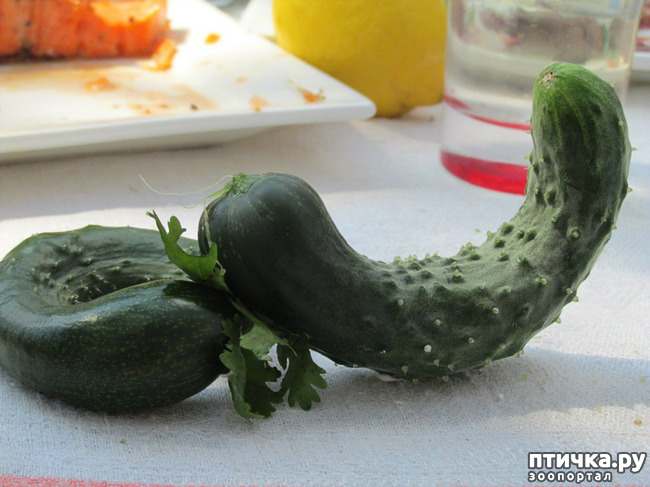 ���� 38: ����� �� ������ ���� �������.