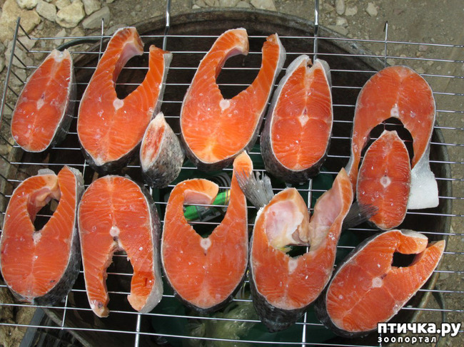 ���� 39: ����� �� ������ ���� �������.