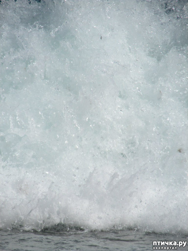 ���� 25: ����� �� ������ ���� �������.