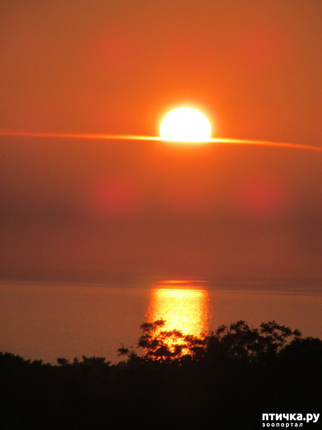 ���� 26: ����� �� ������ ���� �������.