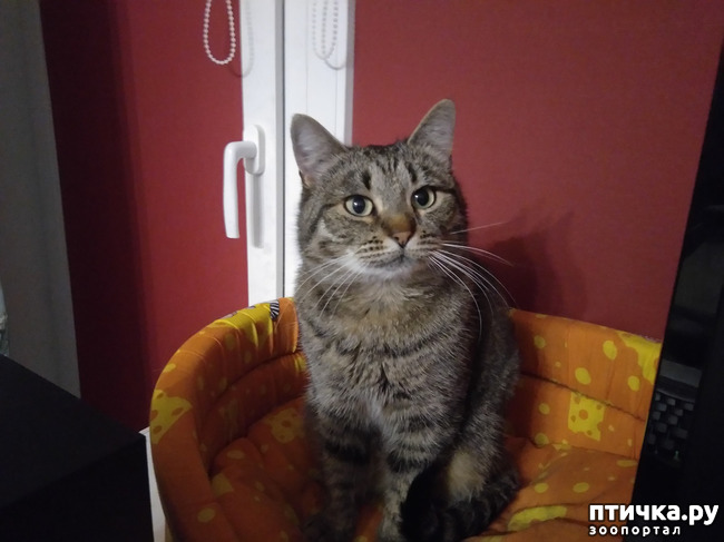 ���� 3: ����.