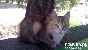 ����: ������� ��� ����� � ���������