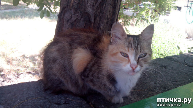 ���� 1: ������� ��� ����� � ���������