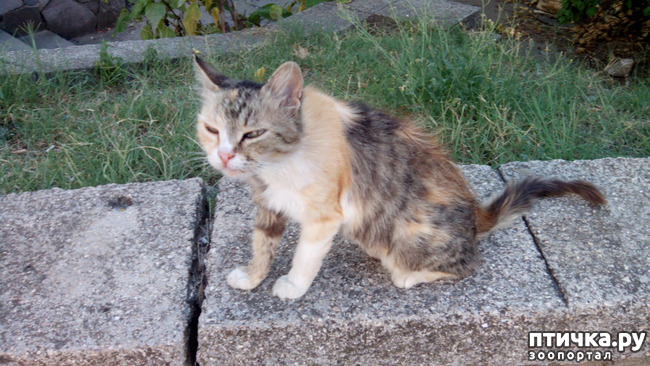 ���� 2: ������� ��� ����� � ���������