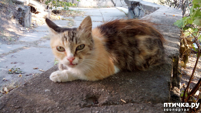 ���� 3: ������� ��� ����� � ���������