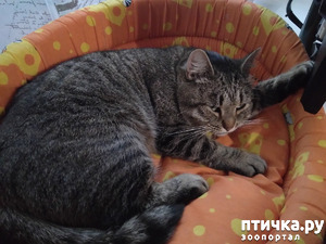 ����: ����.