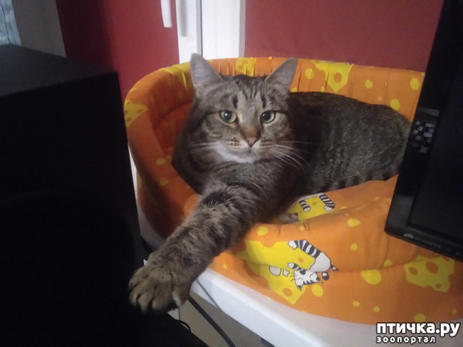 ���� 2: ����.