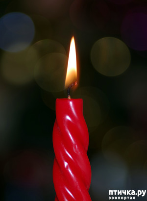 ����: ������ ���������