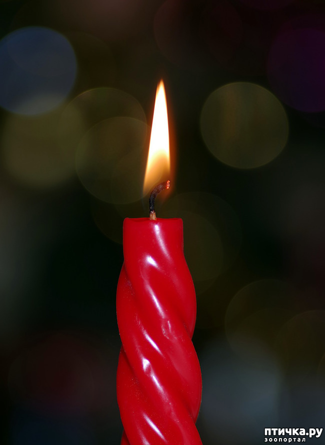 ���� 1: ������ ���������