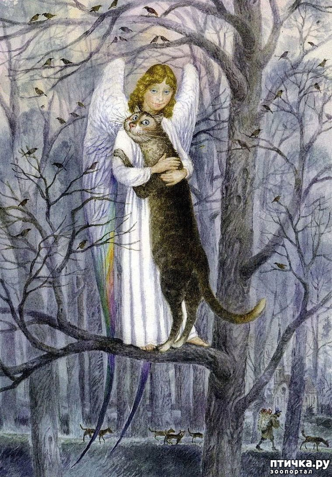 ���� 2: ������ ���������