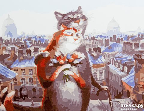 ���� 8: ������ ���������