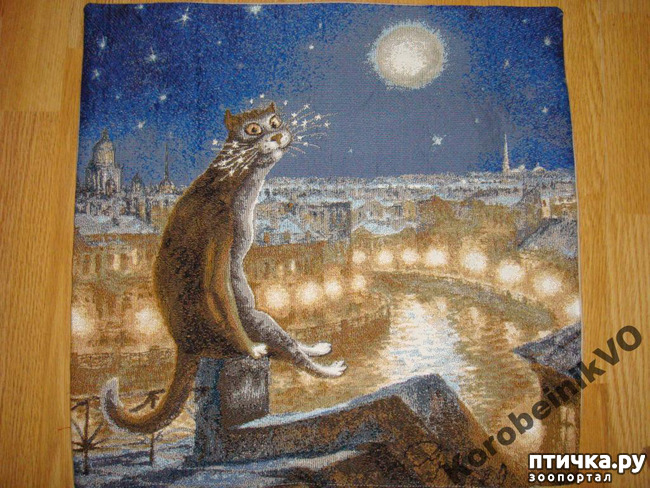 ���� 7: ������ ���������