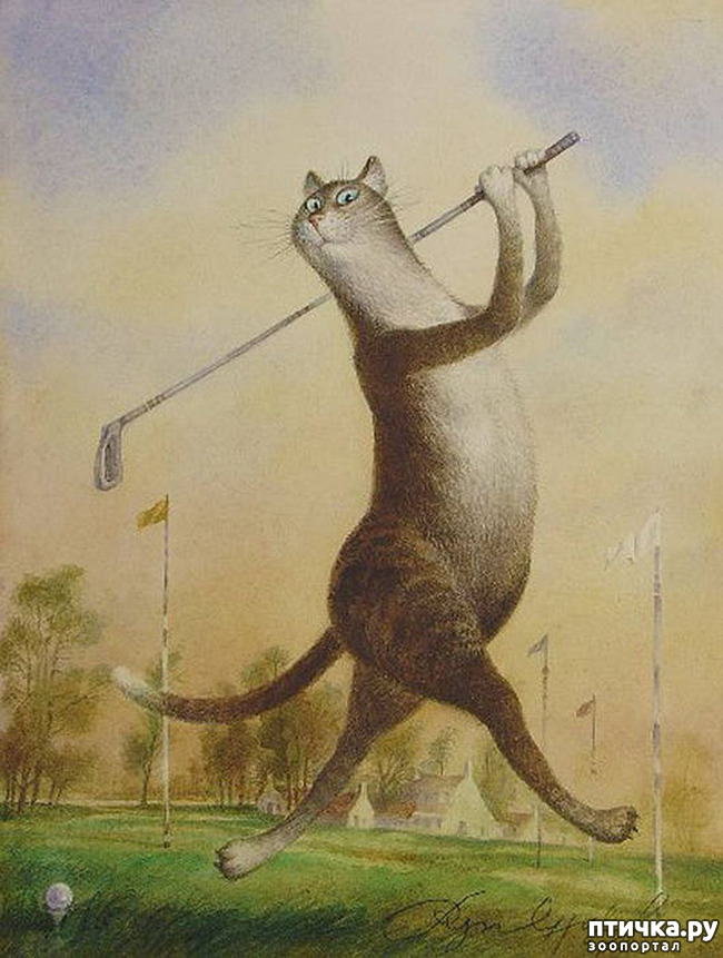 ���� 5: ������ ���������