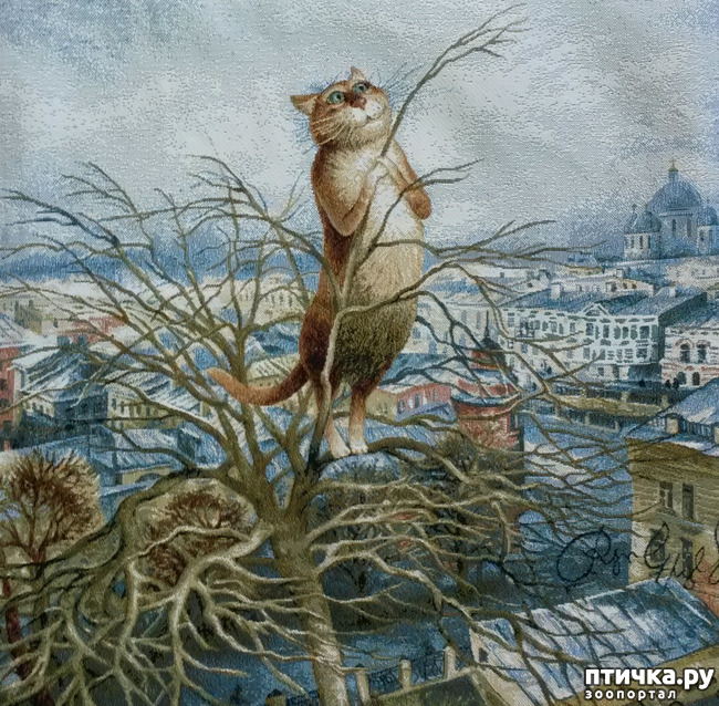 ���� 6: ������ ���������