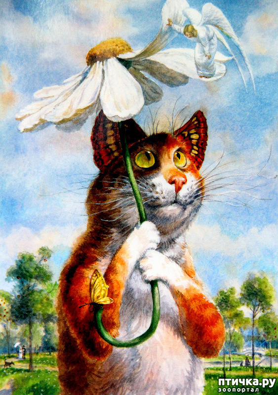 ���� 11: ������ ���������