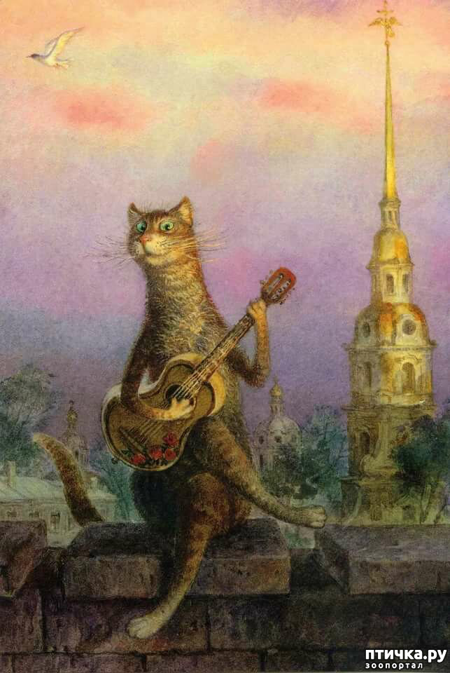 ���� 10: ������ ���������