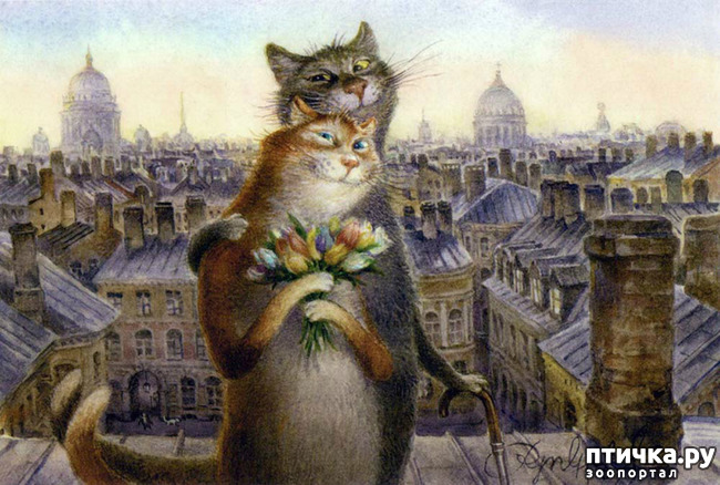 ���� 9: ������ ���������