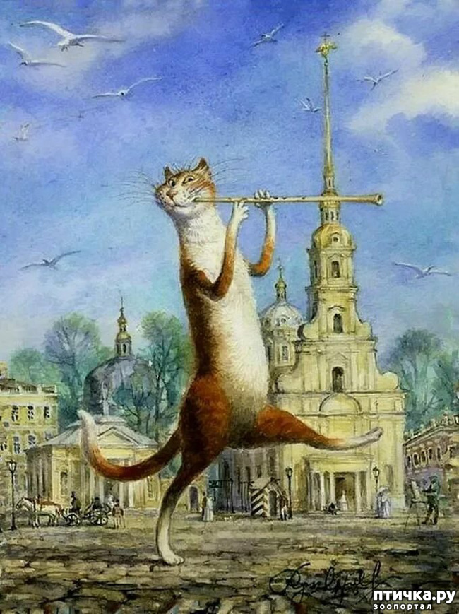 ���� 12: ������ ���������