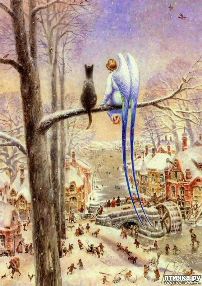 ���� 13: ������ ���������