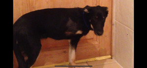 ����: ��������� ������